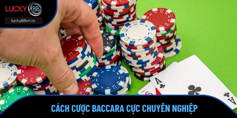 Hai bước thực hiện khi vào vòng cược Baccarat tại nhà cái 