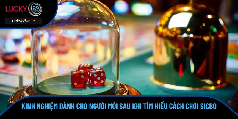 Cách Chơi Sicbo Từ A - Z Dành Cho Các Anh Em Tân Thủ Kinh nghiệm chơi sicbo của đại cao thủ