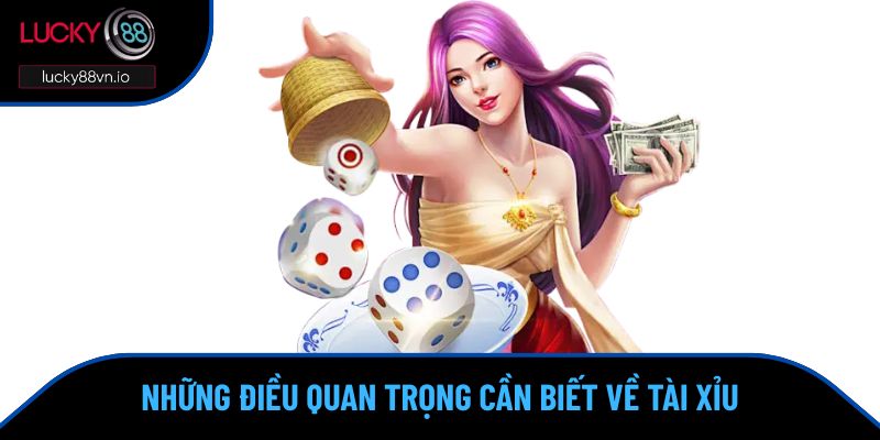 Công Thức Tài Xỉu - Kinh Nghiệm Hay Cho Người Chơi Những điều quan trọng cần biết về tài xỉu