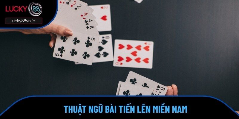 Các khái niệm thường thấy trong Tiến Lên Miền Nam
