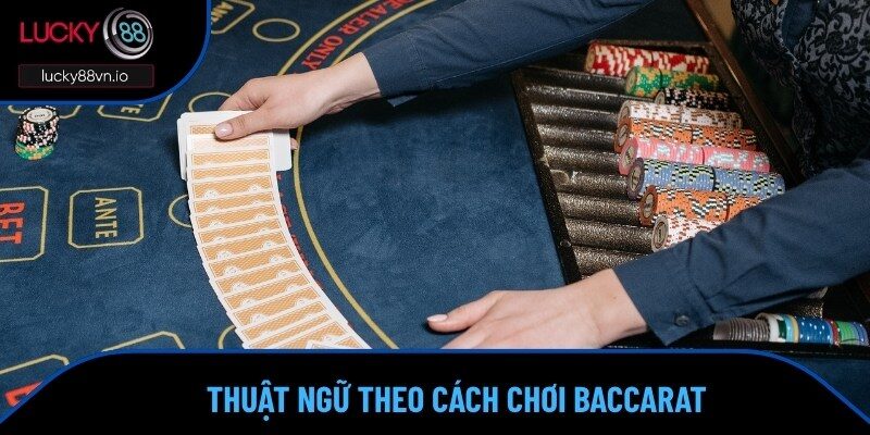 Nhóm thuật ngữ theo cách chơi Baccarat 
